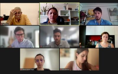 Online Meeting